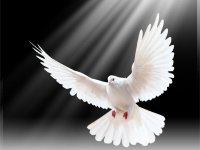 1 Eylül Dünya Barış Günü'nde Zülfü Livaneli, Nükhet Duru ve Zuhal Ocay İzmirlilerle buluşacak