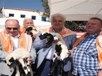 2. Ovacık Tarım ve Sakız Koyunu Şenliği heyecanı