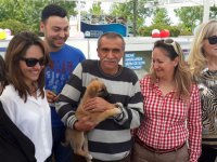 4 köpek yeni yuvasına kavuştu