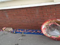 48 havai fişek, 32 meşale, 50 sis bombası... İşte derbinin emniyet raporu...