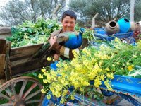 7. Alaçatı Ot Festivali'nin tarihi belli oldu