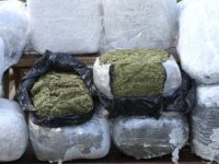 86 kilo esrar ele geçirildi