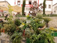 8.Alaçatı Ot Festivali konuklarını bekliyor