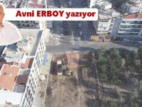 Adam duvar çekmiş, yola meyve ağacı dikmiş…