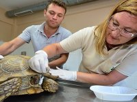 AFYON'DA İŞKENCE GÖRDÜ, İZMİR'DE ŞİFA BULDU...