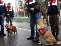 Aile boyu uyuşturucu imal edenlere operasyon