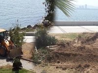 Alaybey Tersane'de ağaçların kesilmesi tepki yarattı