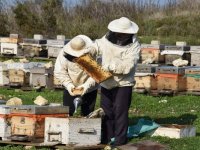 Aliağa Bal Üreticiler Birliği kuruldu