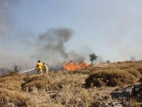 Aliağa'da 15 hektarlık makilik alan yandı