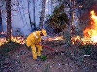 ALİAĞA'DA KORKUTAN YANGIN