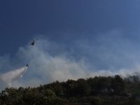 Altındağ MTK Sitesinin üst kısmında çıkan maki ve ormanlık alan yangını korkuttu