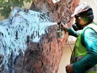 Anıt ağaçlara gençlik aşısı