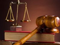 Arabada uludular, hapis cezası aldılar