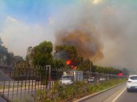 Atatürk Ormanı'nda yangın...