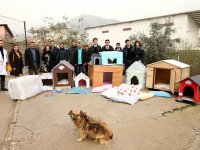 Atıklar can dostlara ev oldu