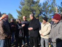 Atila Sertel ağaç katliamına tepki gösterdi