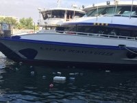 Balık değil, pet şişe!..