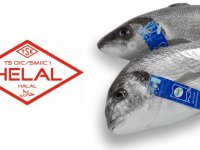 ''Balık''ta ilk Helal Sertifikası ''Pınar Balık''ın…