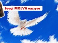 Barış Barış Barış