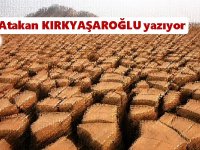 Benim mi? Ya yoksa, değil mi?