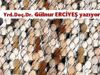 Bir arada yaşama sanatı