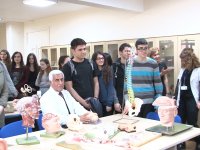 Birçok hastalık beyinle ilgili