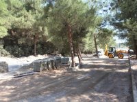 Bornova'da ağaçlar nedeniyle yolun yönü değişti