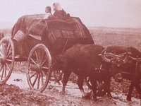 ''Boşnaklar'ın Göç Hikayesi'' kitabı İzmir'de 