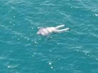 Bostanlı'da denizde ceset bulundu...