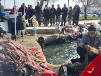 Bostanlı'da olağan bir gün...