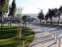 Büyükşehir’den, kavşaklara “Egzoza dayanıklı” ağaç 