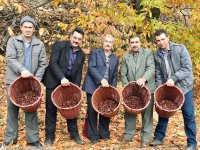 Büyükşehir'den kestane desteği