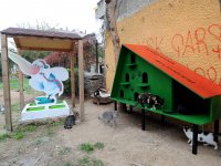 Can dostlar kışı evlerinde geçirecek