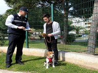 Can dostlar, ‘Veteriner Zabıtası’na emanet