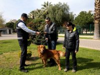 Can Dostlar, Veteriner Zabıtası’na emanet