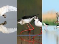 ‘Cennetin’ güzelliğini gözler önüne serdiler