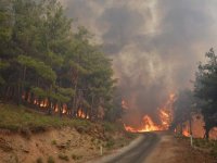 CHP'li Güven: Yüreğimiz, geleceğimiz yanıyor...