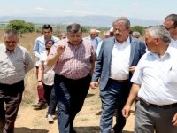 CHP'li Sındır: Mera düzenlemesi hayvancılığımızı bitirecek 