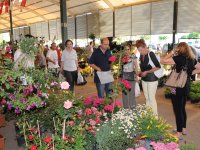 Çiçek Festivali’ne 50 bin ziyaretçi