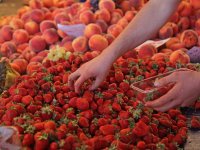 Çileklere, çilek koksun diye sprey sıkmışlar!