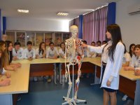 Çocuğunuz TEOG ile mesleğinizi seçecek 