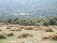 Çöp Tesisi Karşıyaka Yamanlar'a kurulacak...