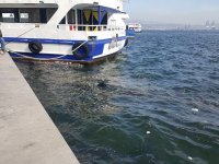 Denizimizi kirletmeyelim...