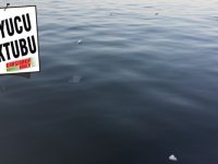 Denizimizi kirletmeyin!