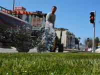 Dikili artık bir başka güzel 