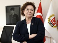 Dikmen: Gazetecinin yaka paça dışarı atılması kabul edilemez