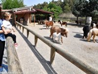 Doğal Yaşam bayram etti