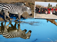 Doğal Yaşam Parkı'nda ödül zamanı