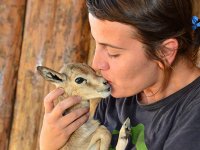 Doğal Yaşam Parkı'nın ziyaretçileri her geçen yıl artıyor