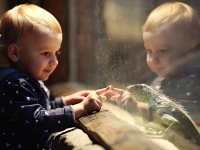 Doğal Yaşam’dan ölümsüz kareler 